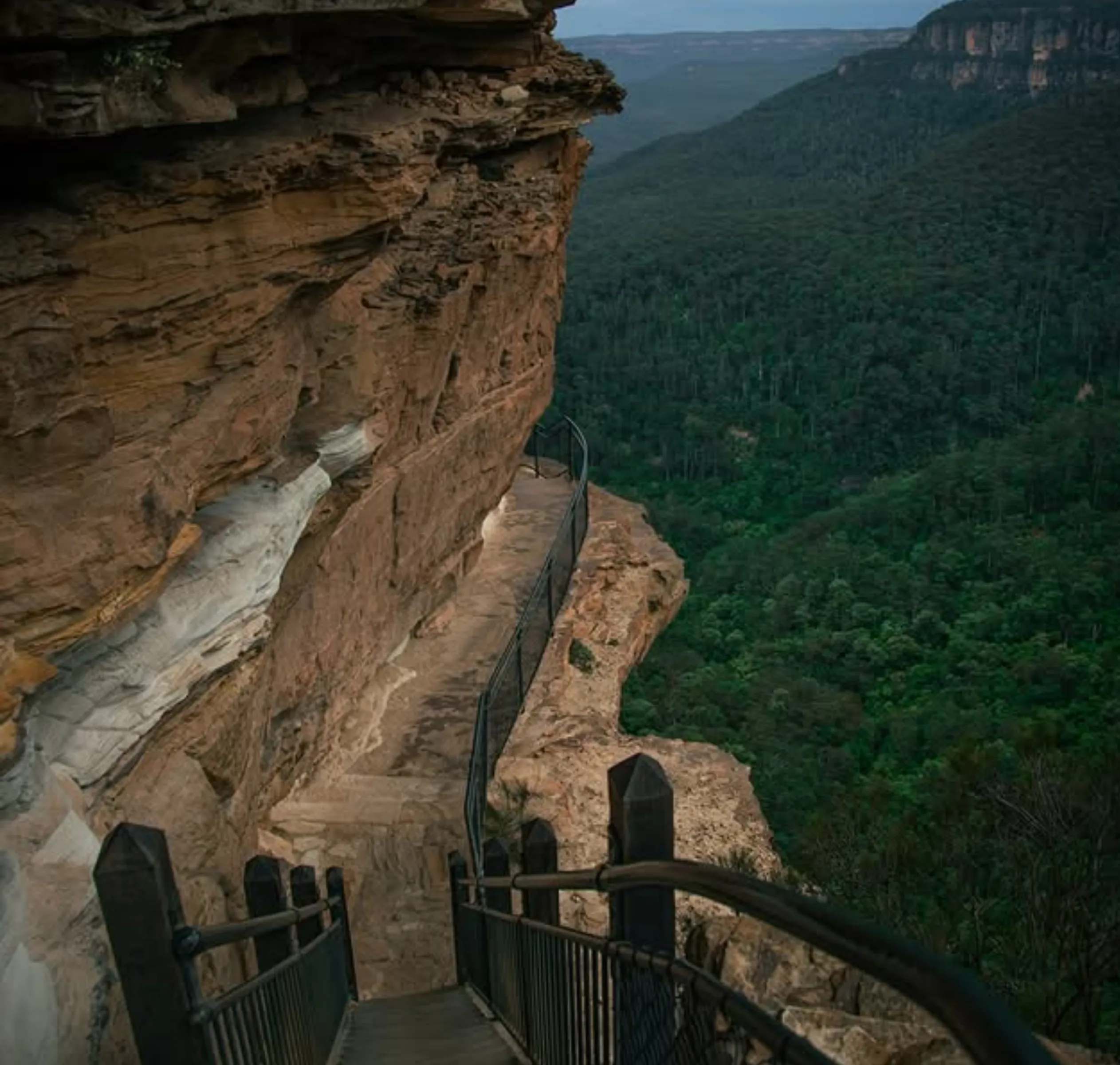 Blue Mountains tour cost comparison