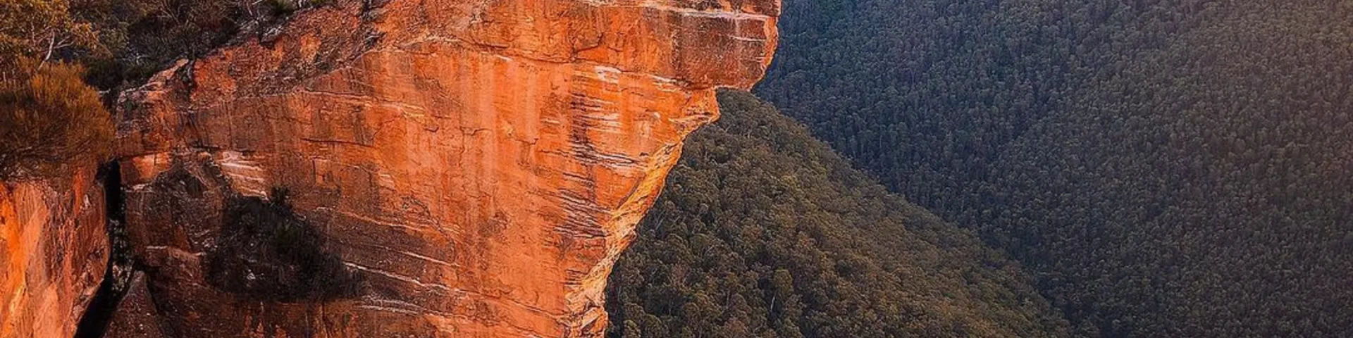 Sydney to Blue Mountains transport guide